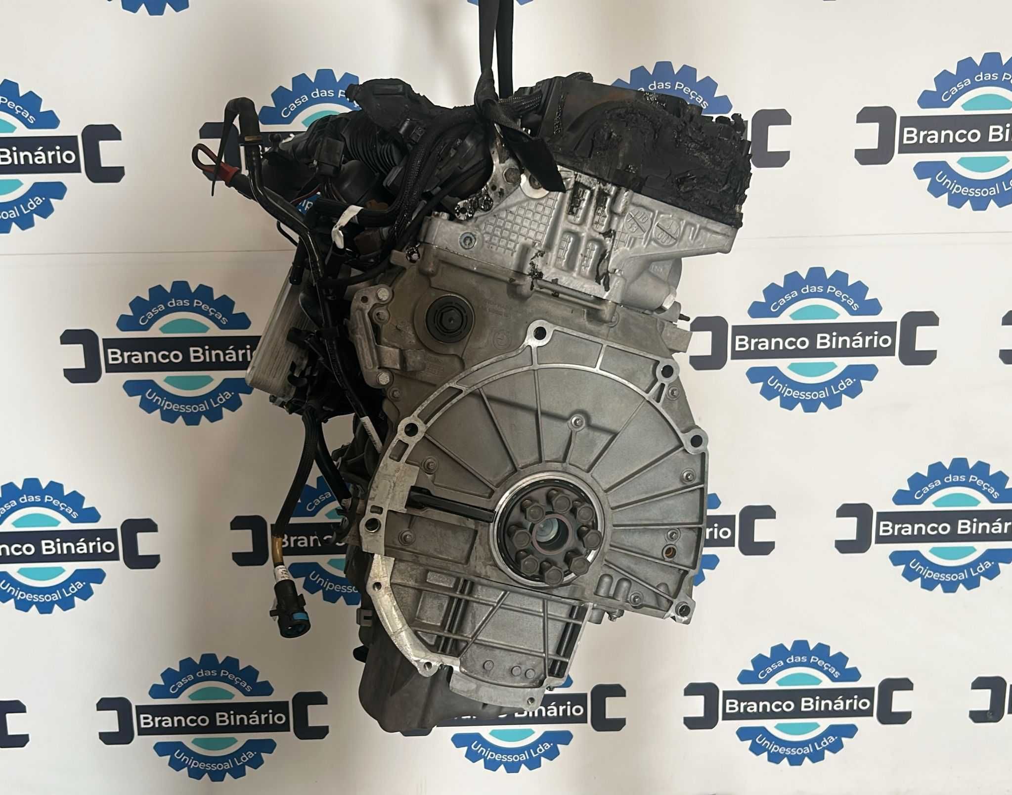Motor BMW 320 184 cv (n47d20c)