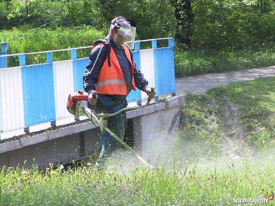 Koszenie trawy kosą spalinową, szybko i tanio profesjonalnie