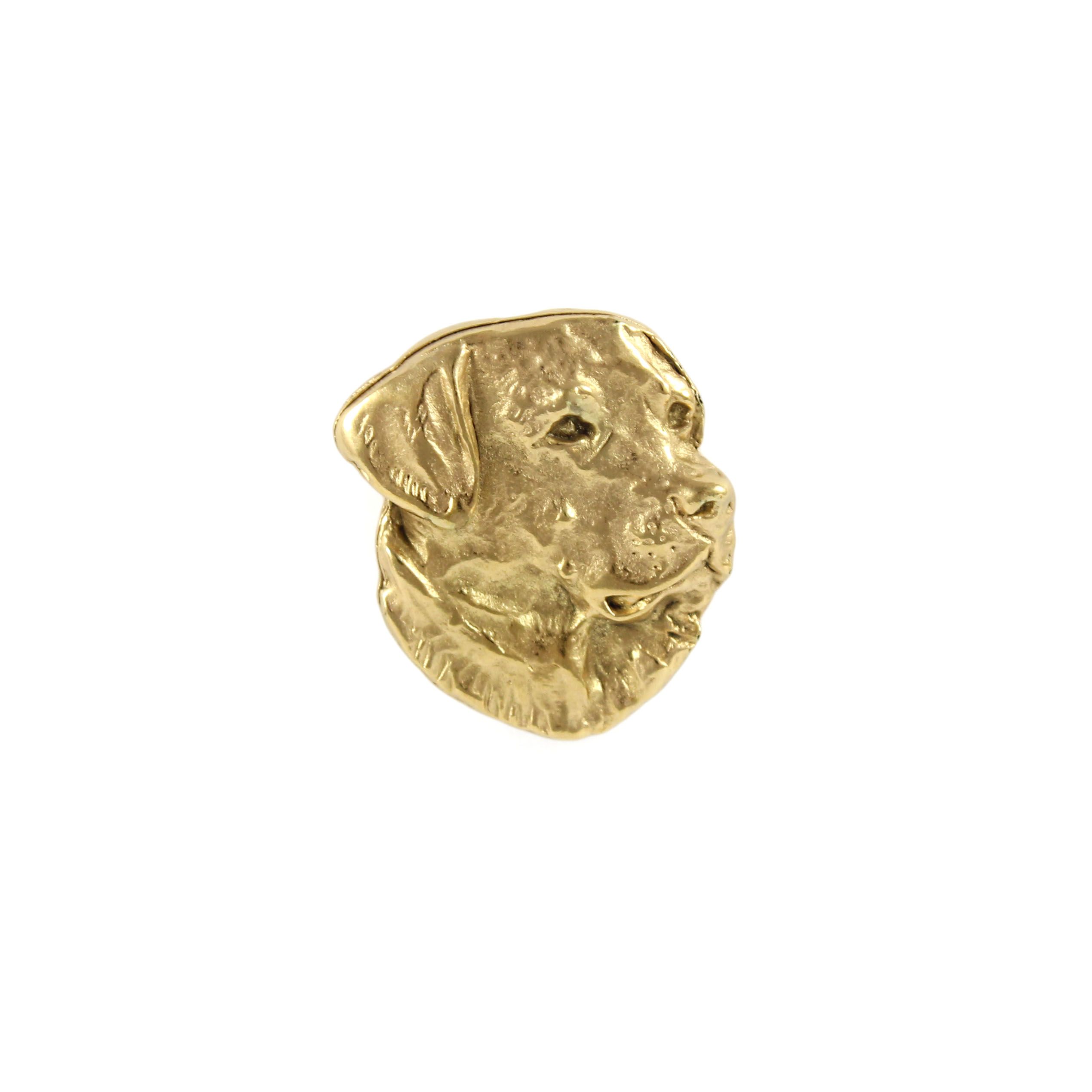 labrador retriever - broszka z psem w pudełku ozdobnym, elegancki poz