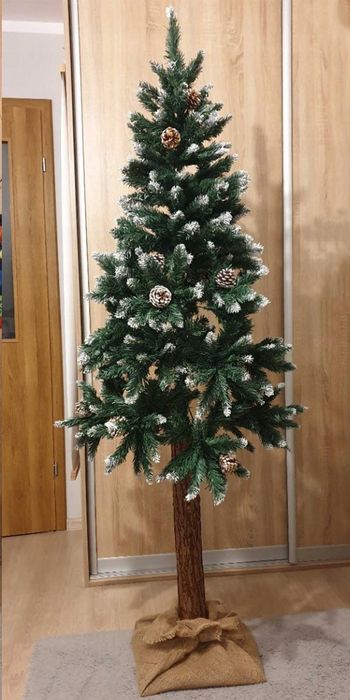Przepiękna choinka na pniu jak żywa,gęsta,zielona,oszroniona,szyszki.