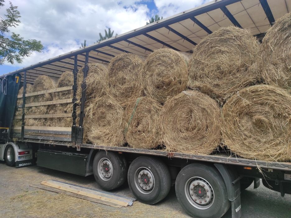 Siano , słoma ekologiczne w belach 120×120