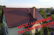 Malowanie Mycie Dachów, montaż rynien, prace wysokościowe
