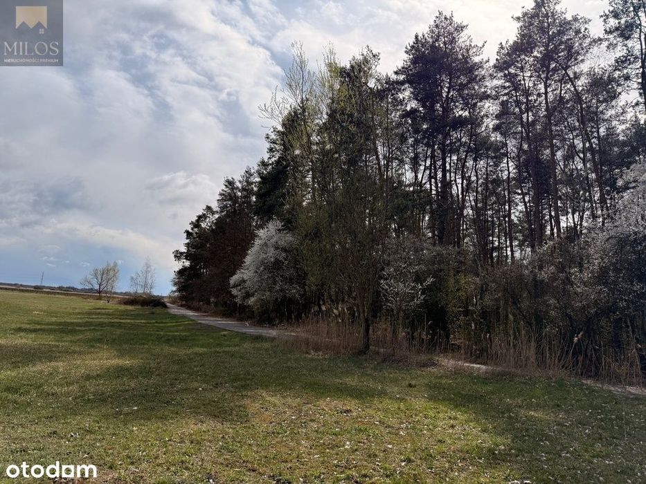 Duża, szeroka działka z WZ. Okazja inwestycyjna!