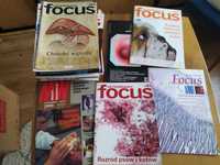 Focus, czasopisma, weterynaria, stos pism, Magazyn