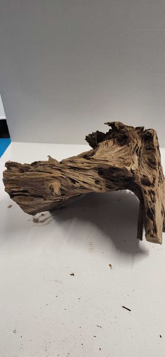 Troncos e raizes para aquario