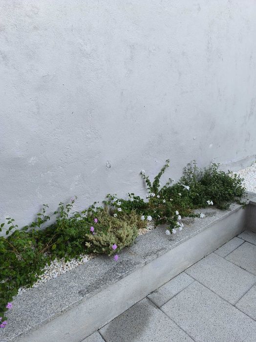 Aluga-se andar-moradia ao Covelo com pátio e lavandaria exterior