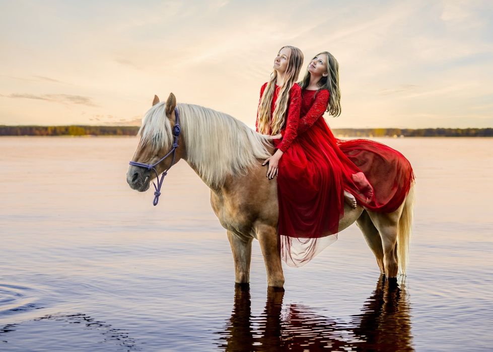 Sprzedam wałacha haflinger