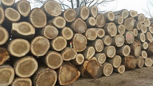 Skup drewna – papierówka, kłody, dłużyce, tj sosna świerk topola