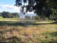 Terreno  para venda