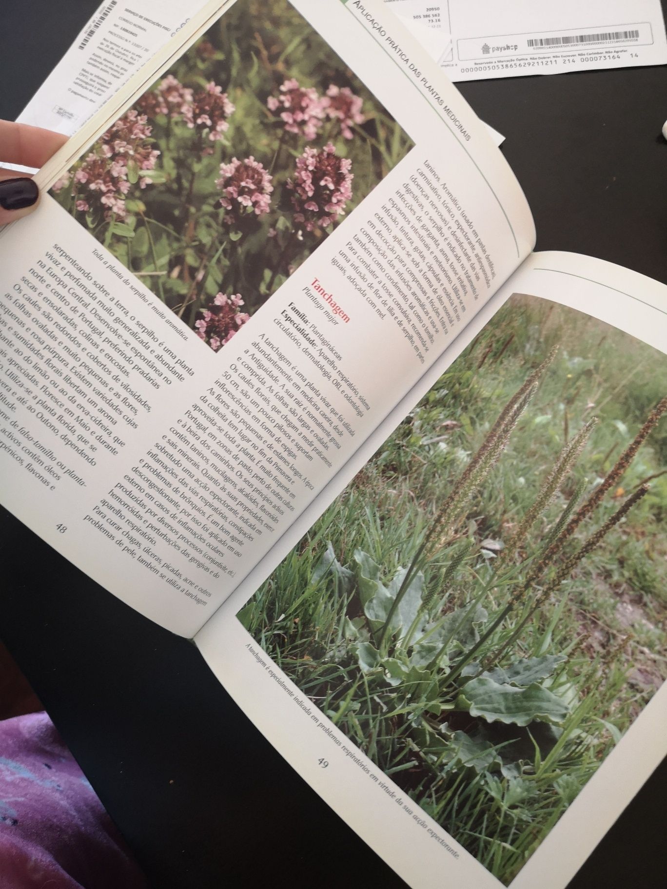 Livro plantas medicinais