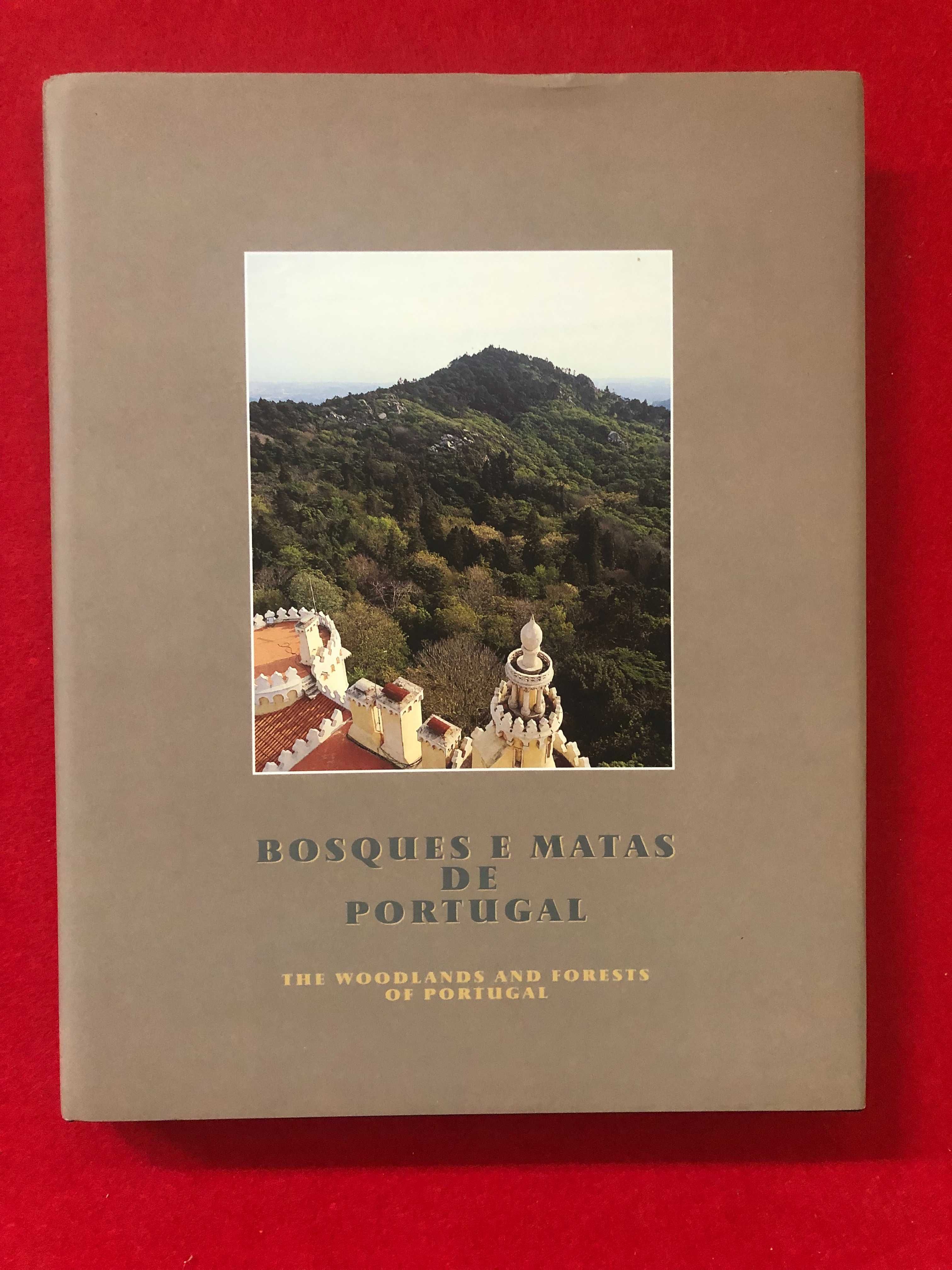 Bosques e matas de Portugal -   Lídia Jorge e Pedro Castro Henriques