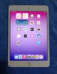 iPad mini 5  256 gb
