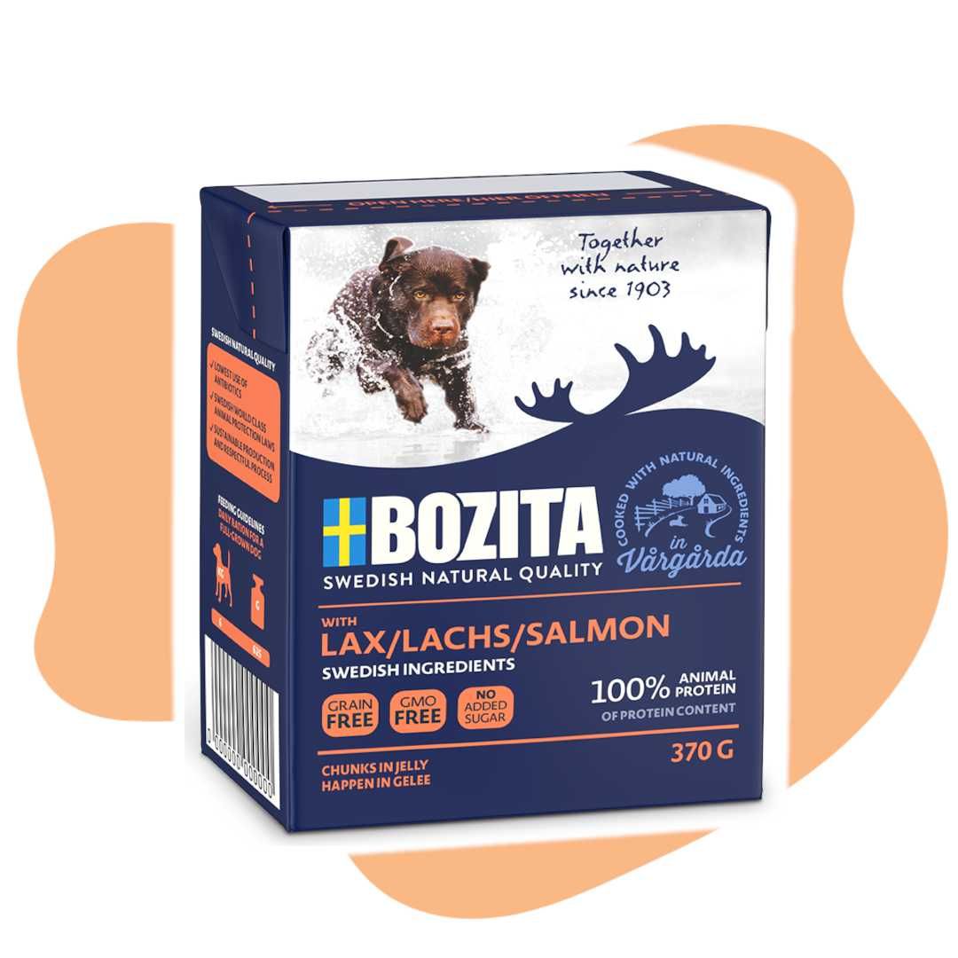 Bozita Salmon Łosoś w galarecie 6x370g Karma mokra dla psa