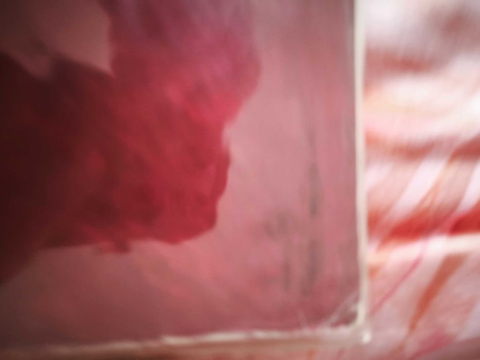 Fischer-Z – Red Skies Over Paradise LP vinil