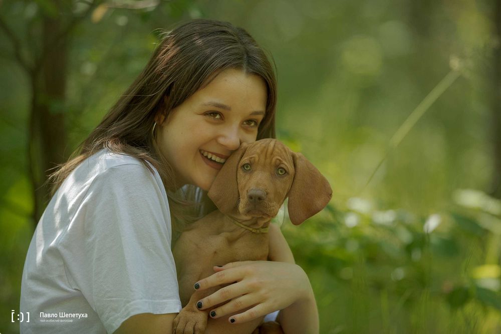 Ідеальний компаньон для сім'ї з розплідника КСУ-FCI