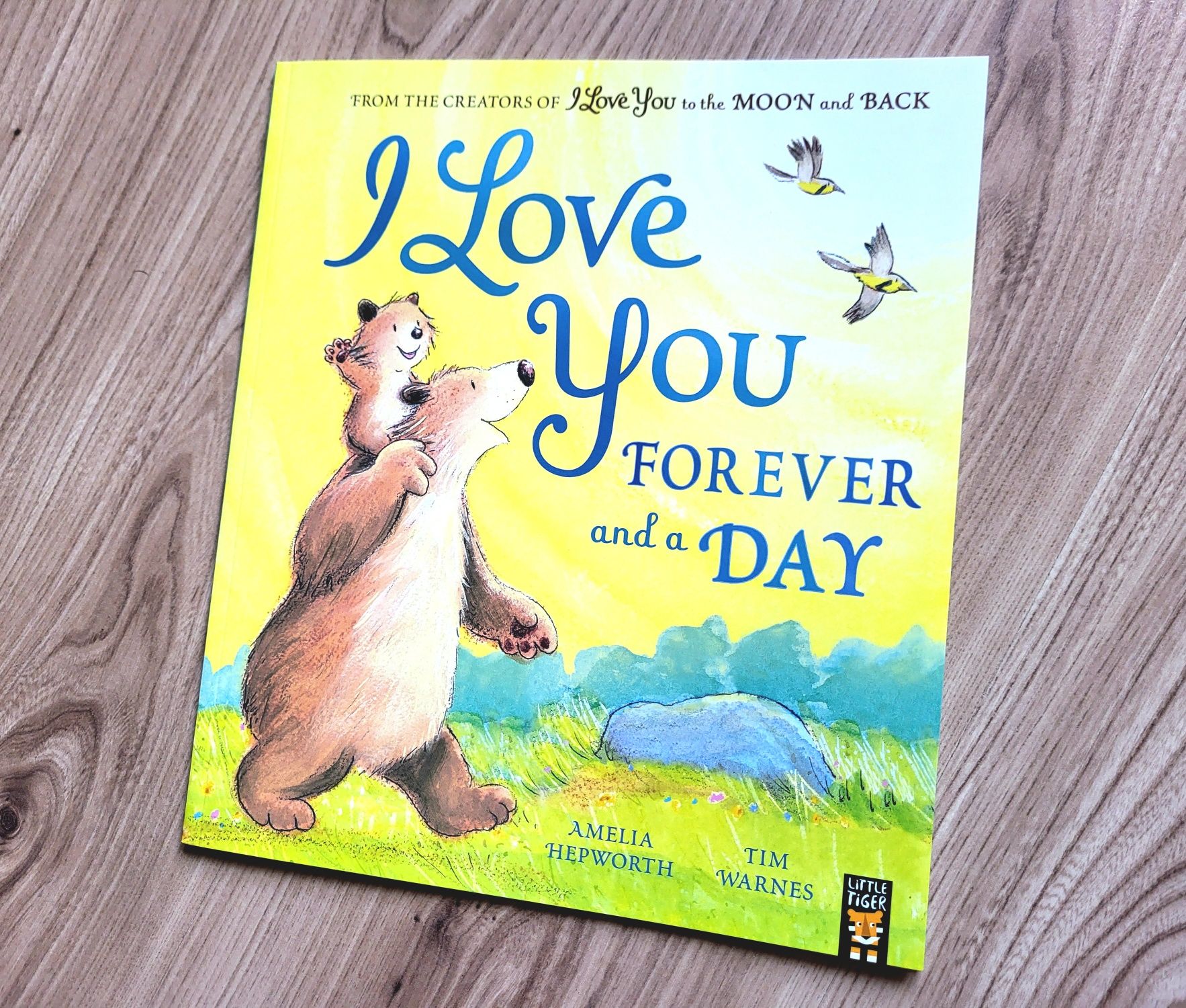 I Love You Forever and a Day opowieści o miłości książka po angielsku