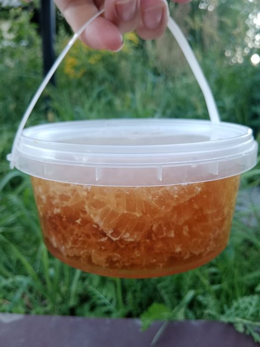 Сотовий мед акація