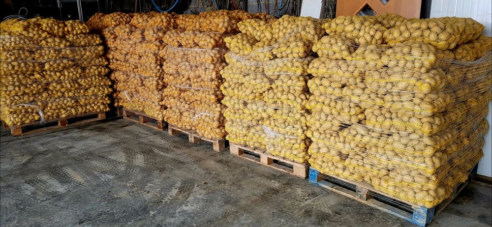 Ziemniaki jadalne Soraya Queen Anna Sagitta worek bigbag luz