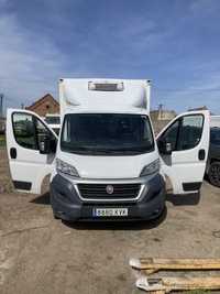 Fiat ducato  chłodnia mroźnia do 32