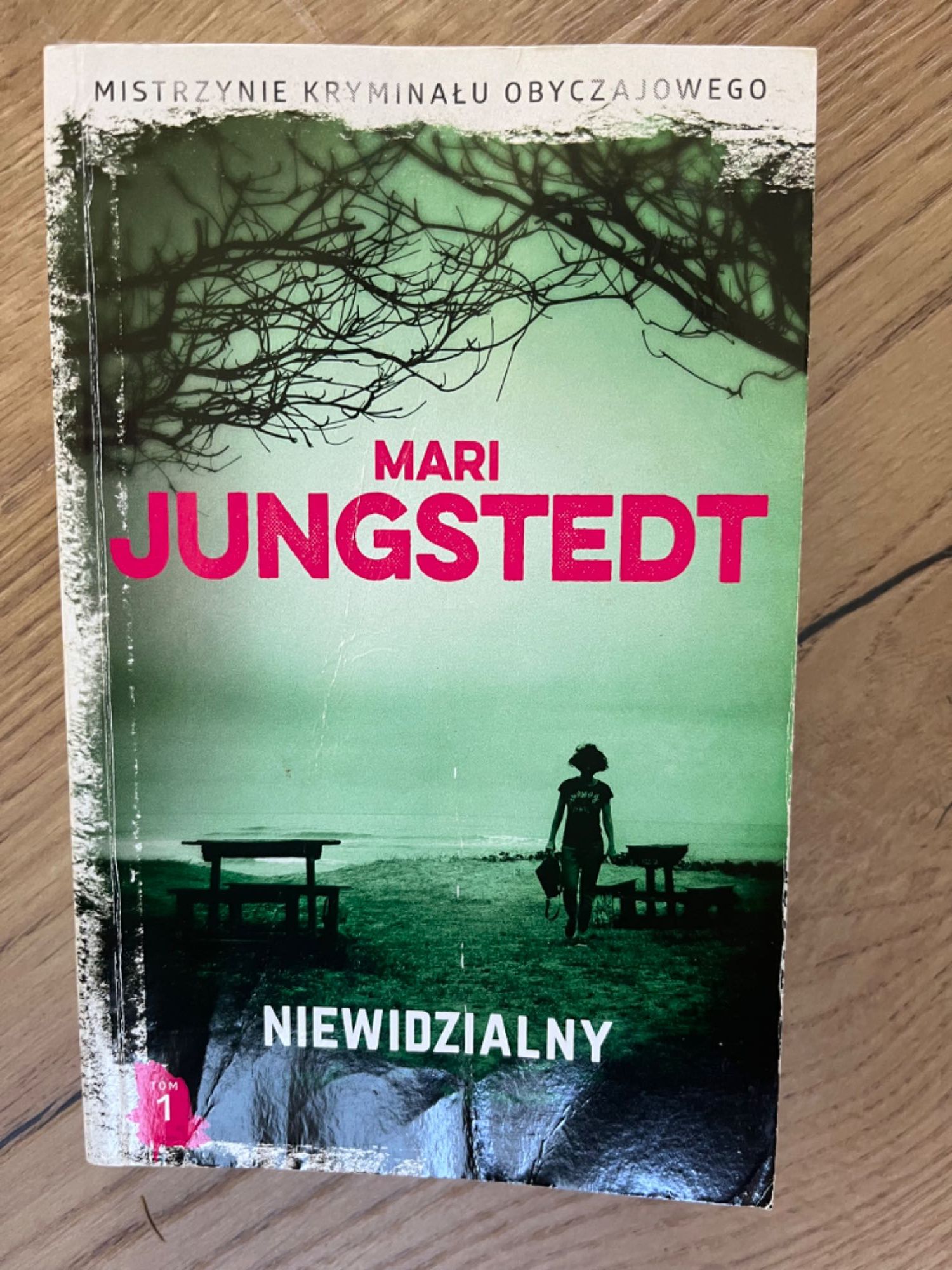 Mari Jungstedt „Niewidzialny”