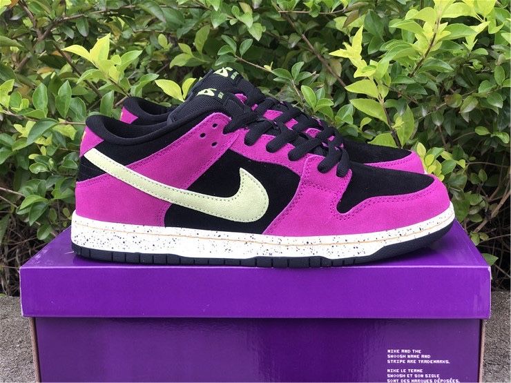 Кроссовки Nike SB Dunk Low Pro ACG Terra Red Plum Найки Данки Слива