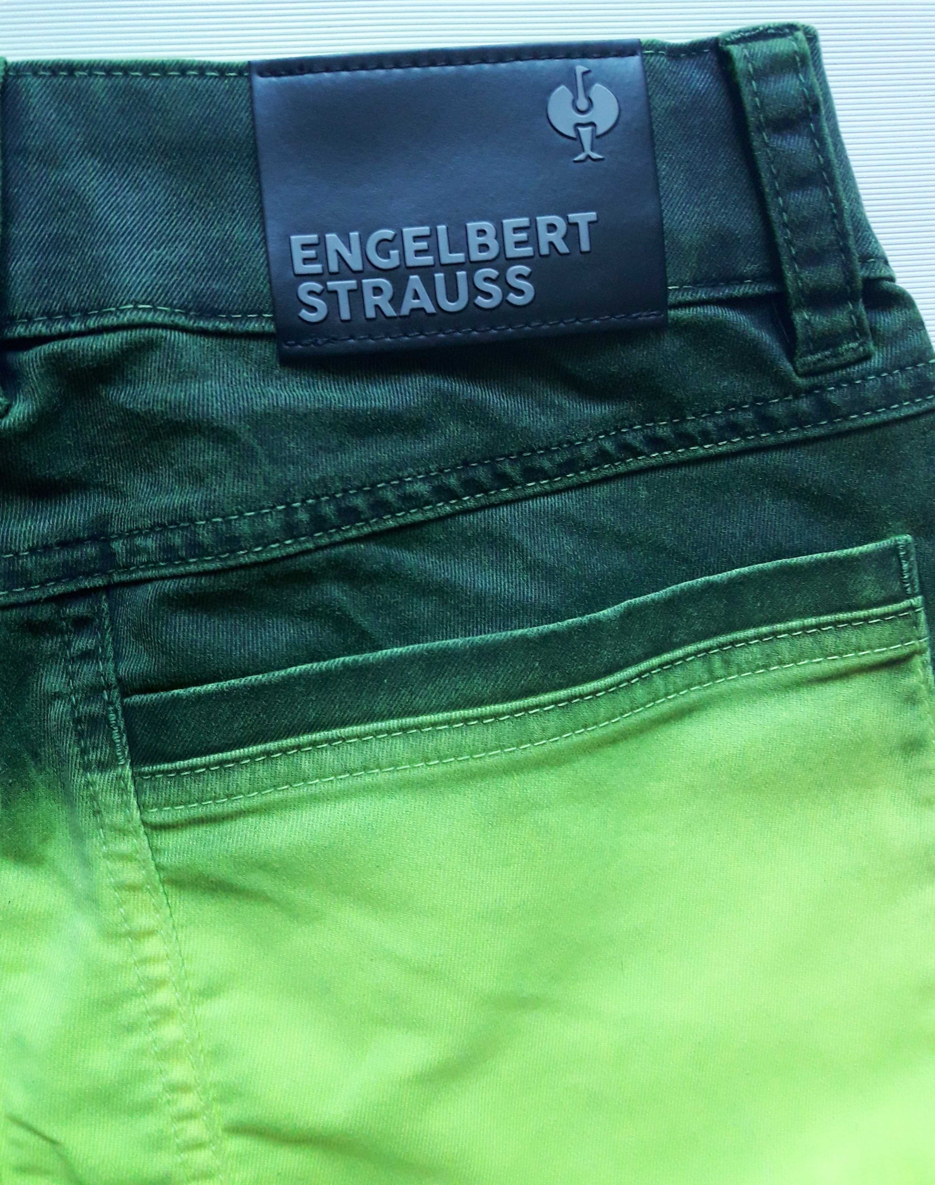 Робочі шорти Engelbert Strauss color sprayer (46)