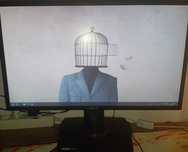 Monitor Gaming ASUS VG248QG - Full HD, 165hz, 0.5ms, G-SYNC(Usado)