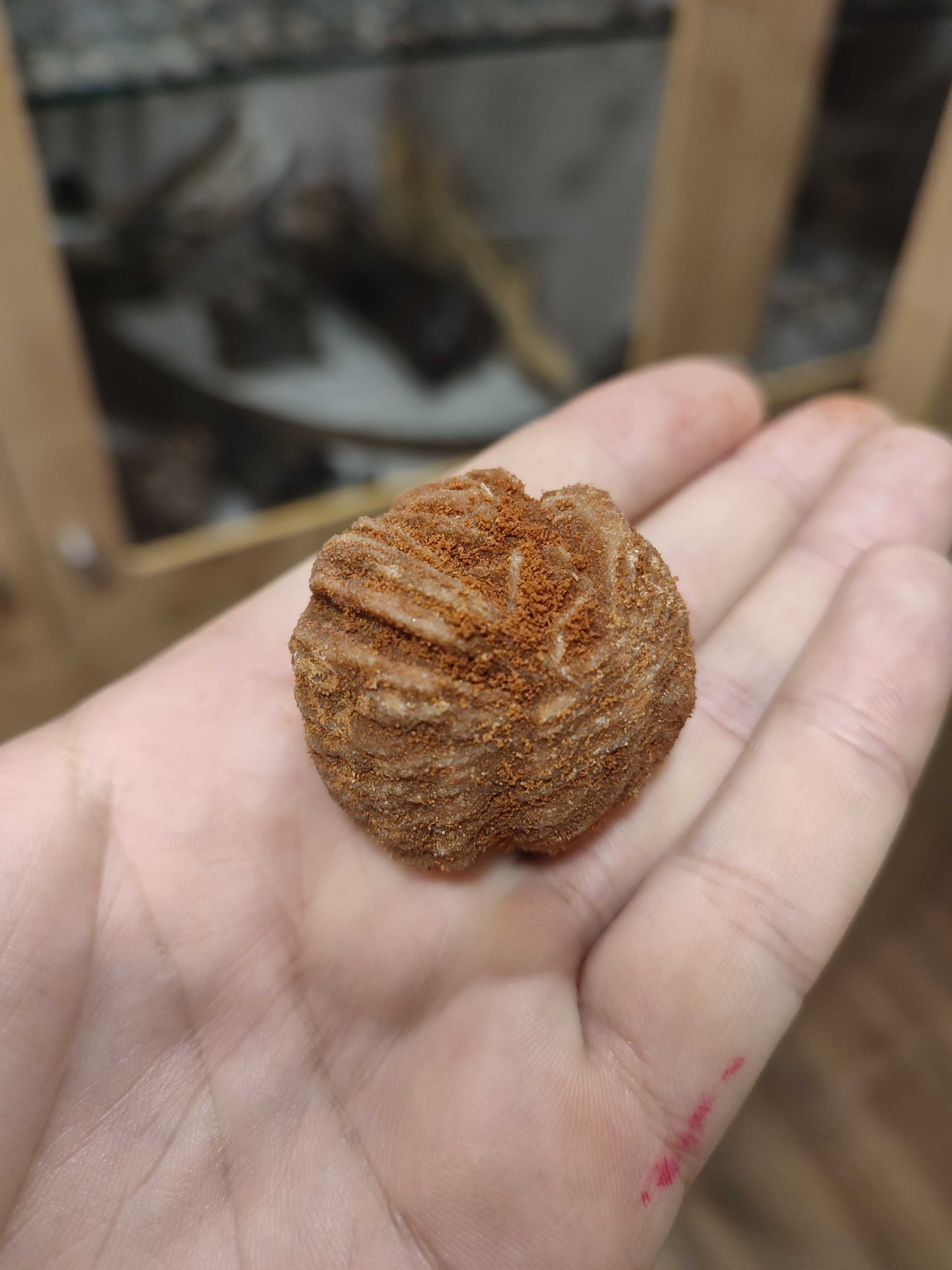 Lote de minerais 4 tipos