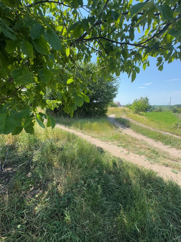 Продаж ділянки землі.Дачний масив Дружба