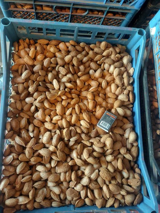 Свіжий солодкий мигдаль, урожай 2025 року