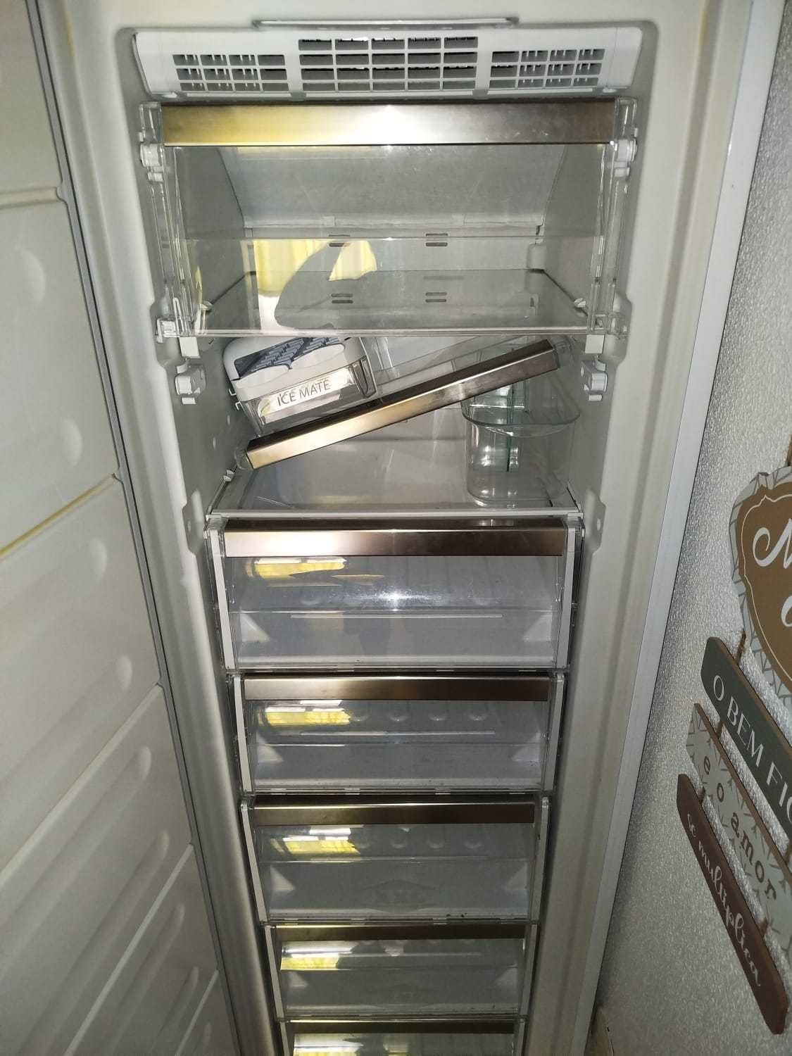 Arca Congeladora