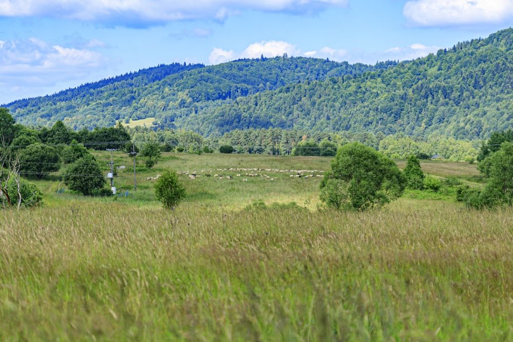 Domek do wynajęcia w górach z widokiem na Pilsko i Babia Górę
