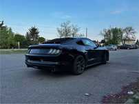Ford Mustang Ford Mustang 3,7 V6 | Wygląd GT500 | Automat