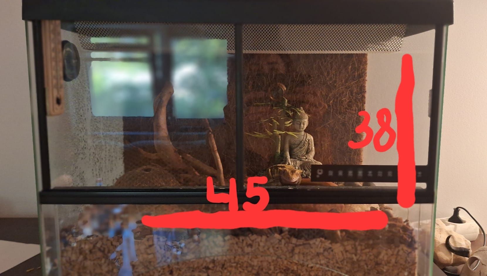 Sprzedam terrarium razem z Gekonem