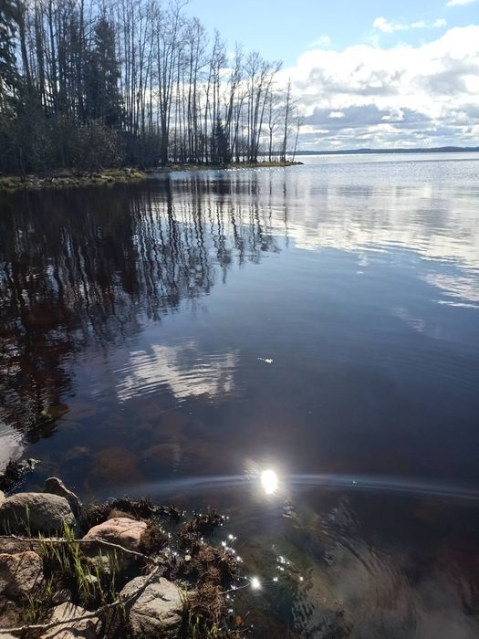 Квартира подобово