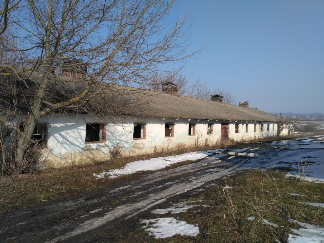 Продам приміщення свиноферми, свинарник, склад