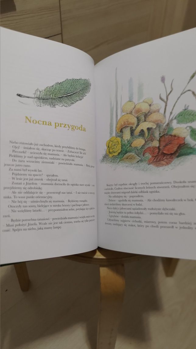 Koniec świata i poziomki Anna Onichimowska