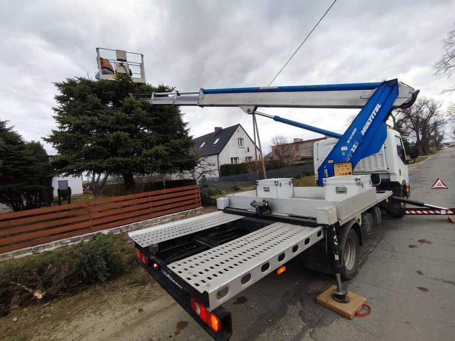 Wynajem Podnośnik Koszowy - USŁUGI ZWYŻKA Wycinka drzew