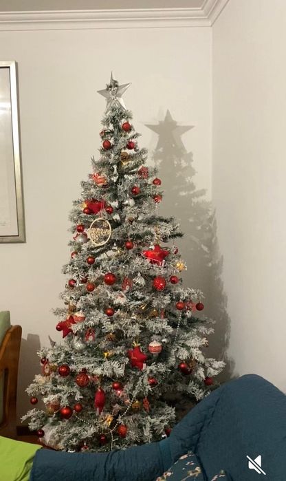 Árvore de Natal - usada uma vez