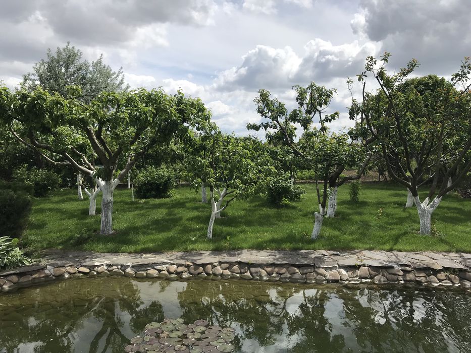 Садівник, ландшафтні роботи, автоматичний полив.