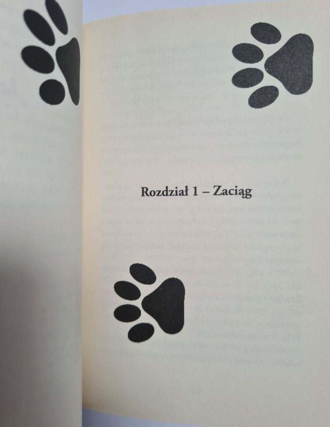 Kundel Bing. O psie, który skakał na spadochronie - Gil Boyd