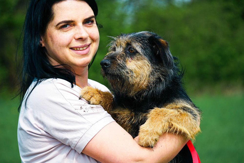 LASTKA - śliczna, niewielka, szorstkowłosa sunia