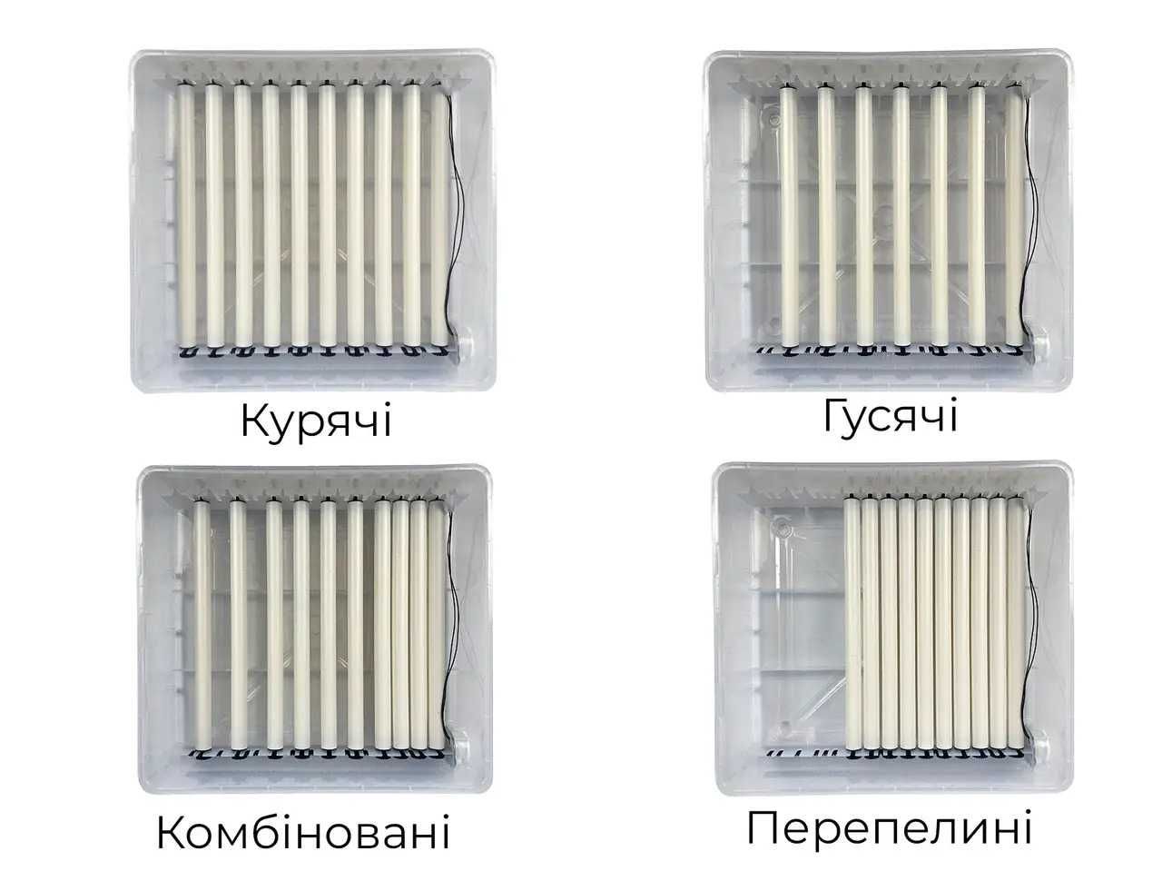 Інкубатор автоматичний ПТАХА 64-В (220/12В)