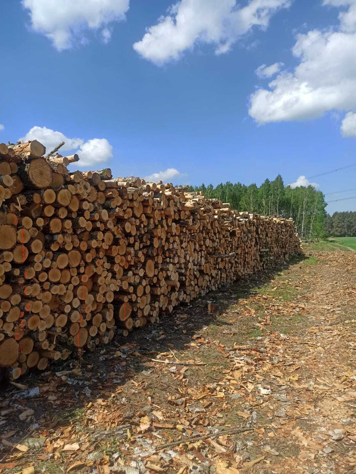 Drewno Kominkowe / Opałowe Osika , SOSNA pocięte / połupane  do pieca