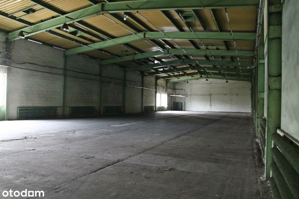 Hale: 730m2, 930m2, 185m2 i biura- bezpośrednio od właściciela