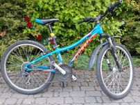 Rower kellys kiter 50, 24 cale