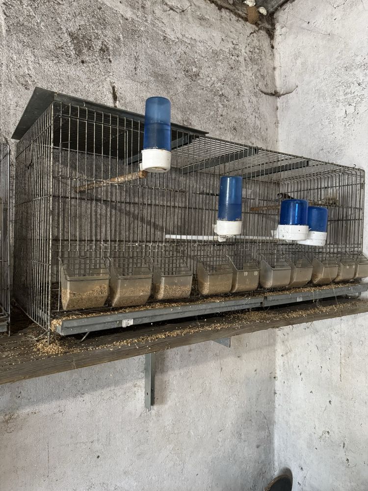 Gaiolas para aves
