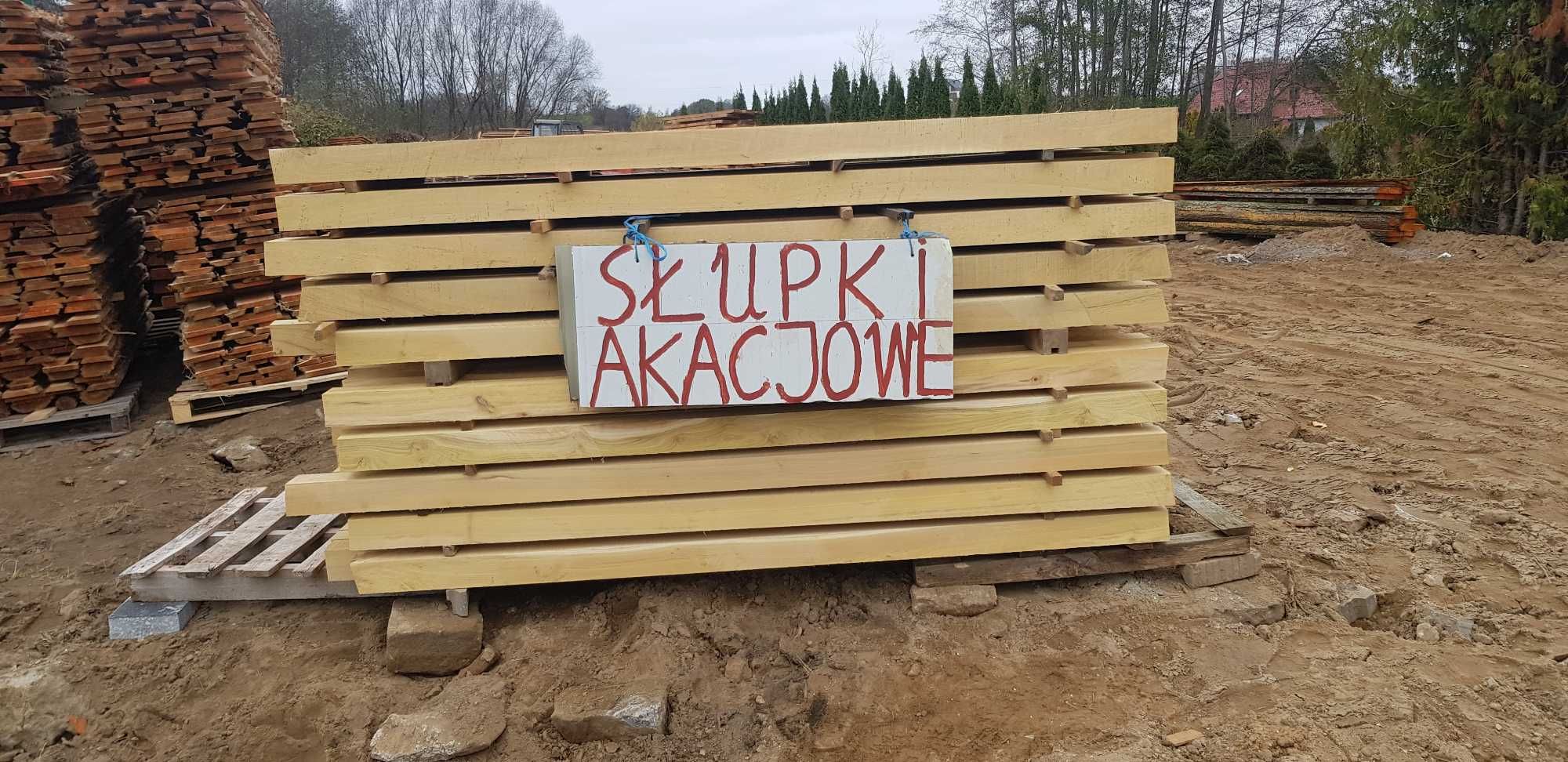 Słupki  Akacjowe   240x10x10