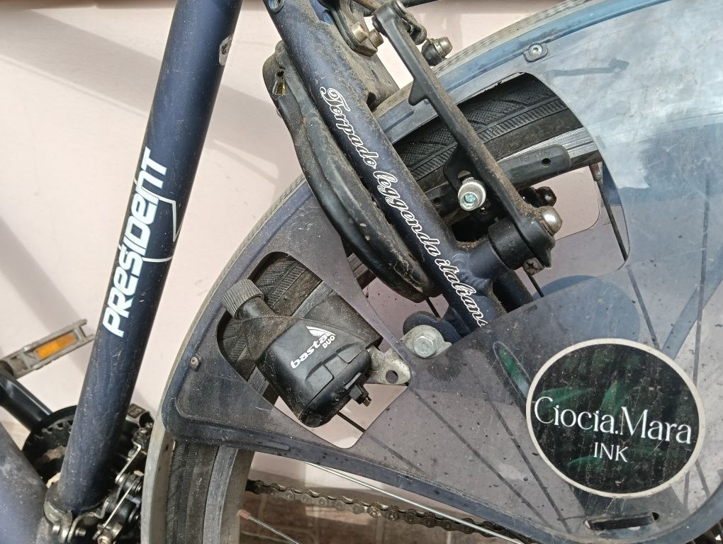 Rower miejski Torpado president 28