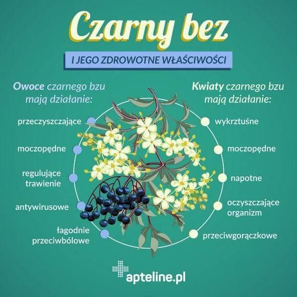 Syrop z kwiatów czarnego bzu